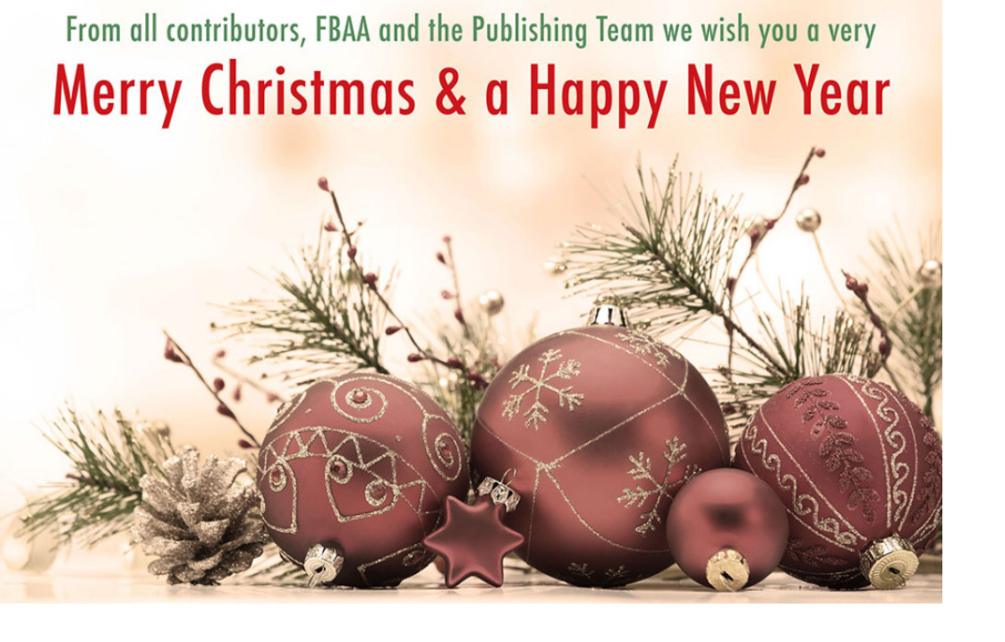 Merry Christmas and a Happy New Year - The Finance Professional ...